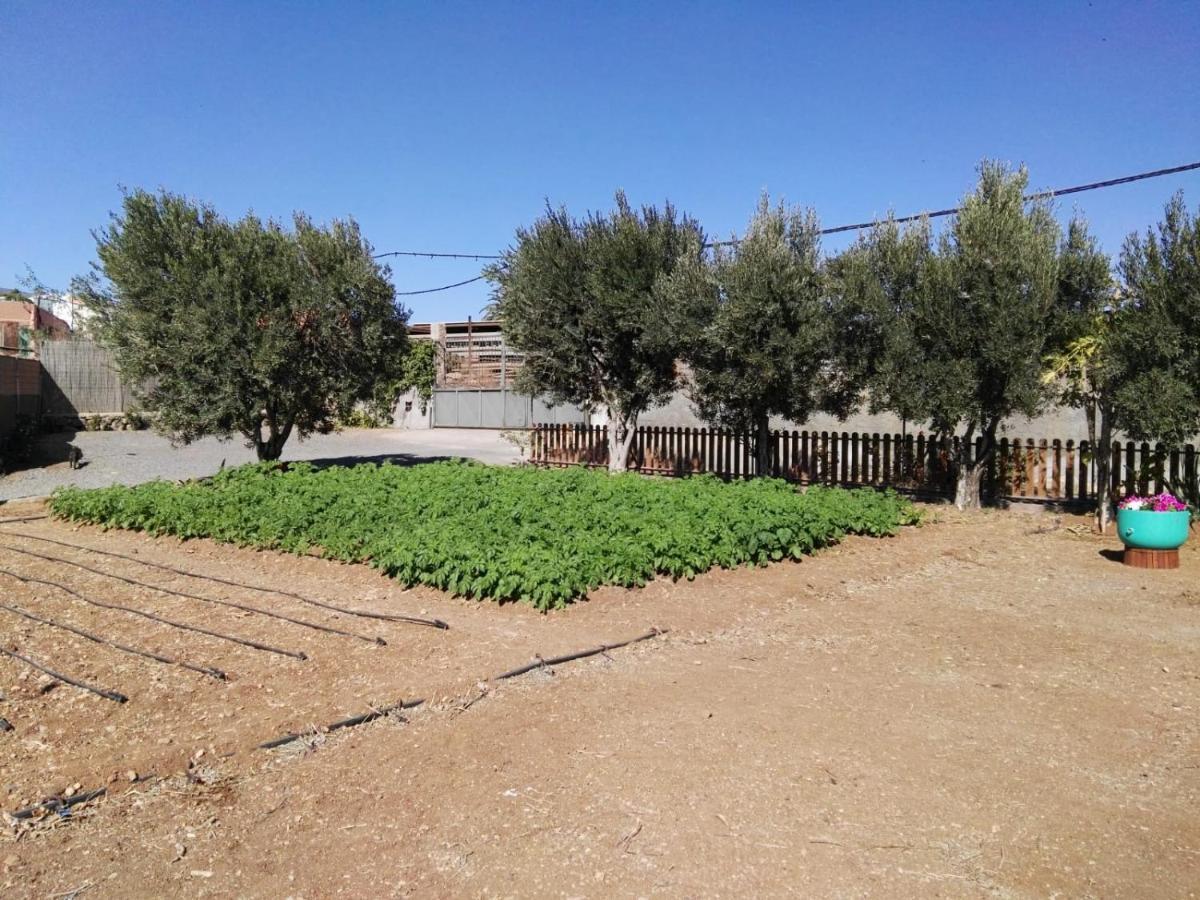 Villa La Casita Del Naranjo à Agüimes Extérieur photo